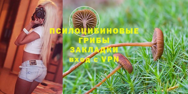 соль курить ск Балабаново