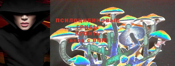 mdpv Арсеньев