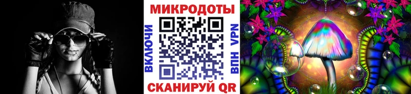 Псилоцибиновые грибы Psilocybe  цены   Таруса 